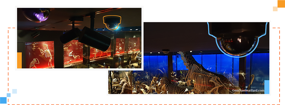 Milesight pro dome secures Natural History Museum of Fribourg