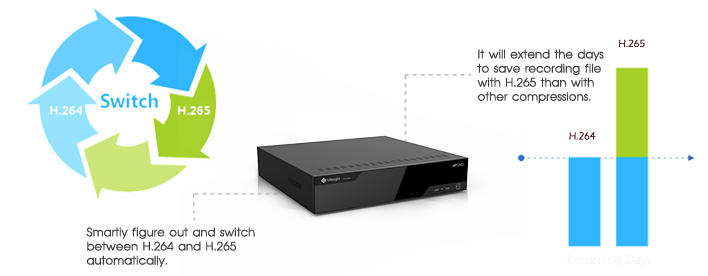 Mini NVR