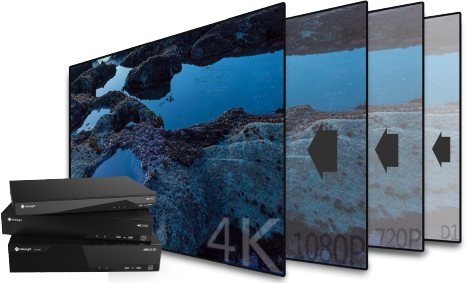 4K video viewing experience of Milesight NVR